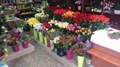 Kwiaciarnia „Joanna”